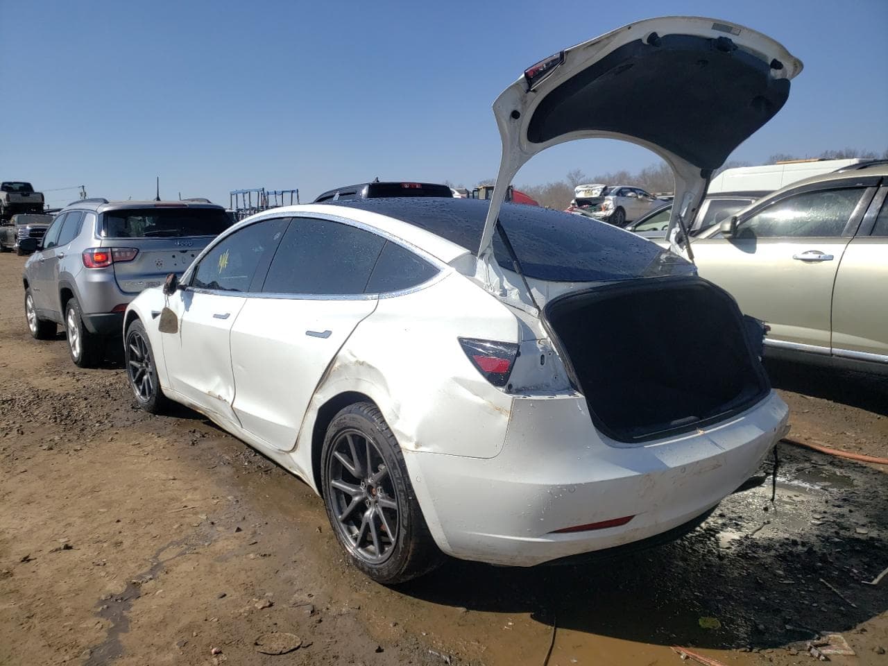 2020 Tesla Model 3 - foto 3