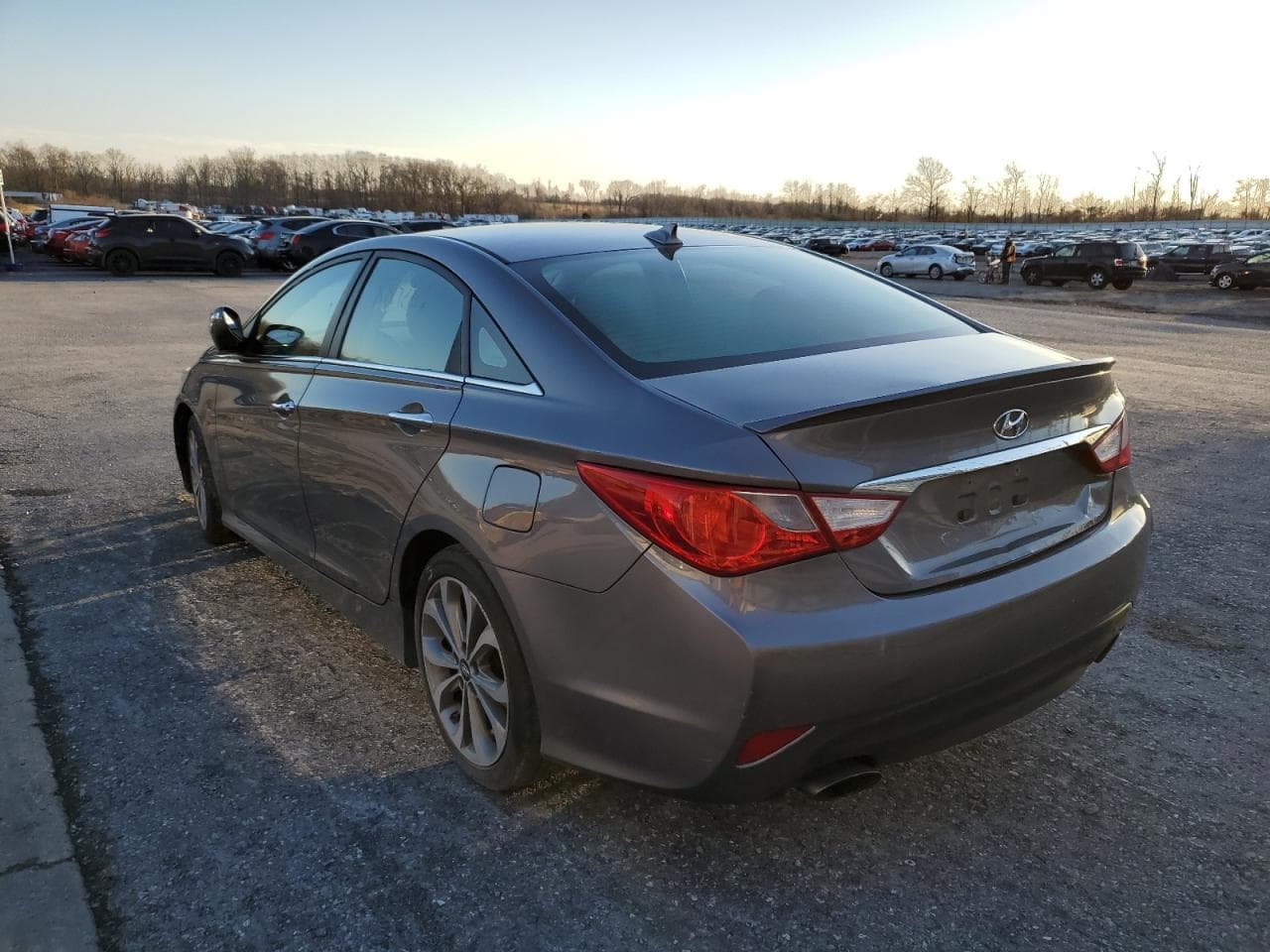 2014 Hyundai Sonata Se - foto 3
