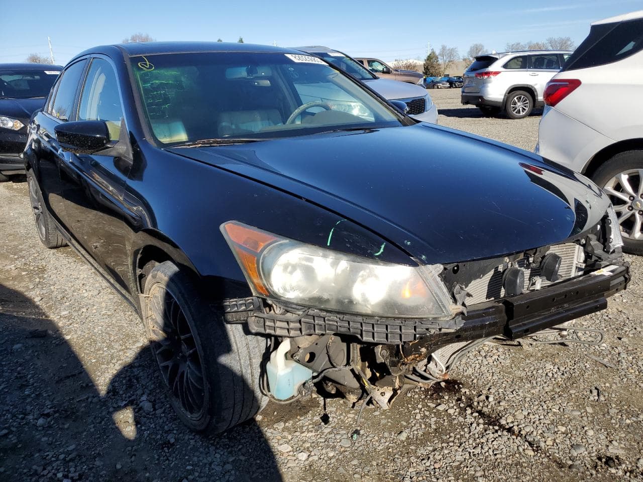 2008 Honda Accord Exl - foto 4