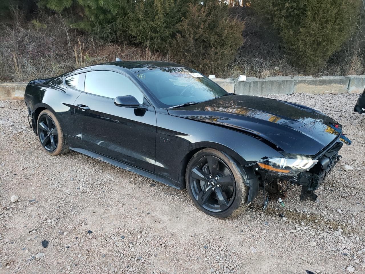 2022 Ford Mustang Gt - foto 4