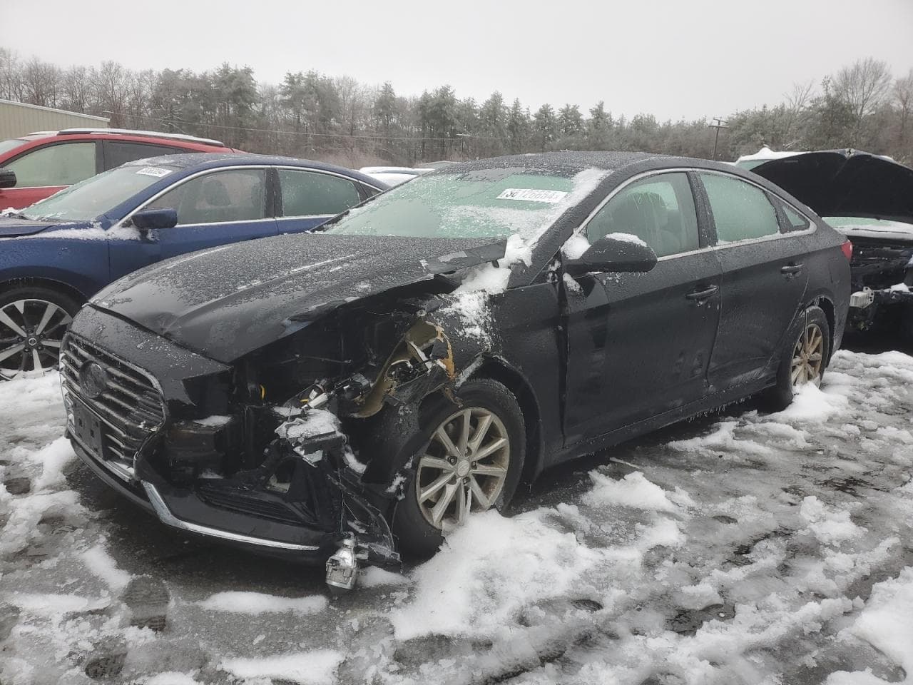 2019 Hyundai Sonata Se
