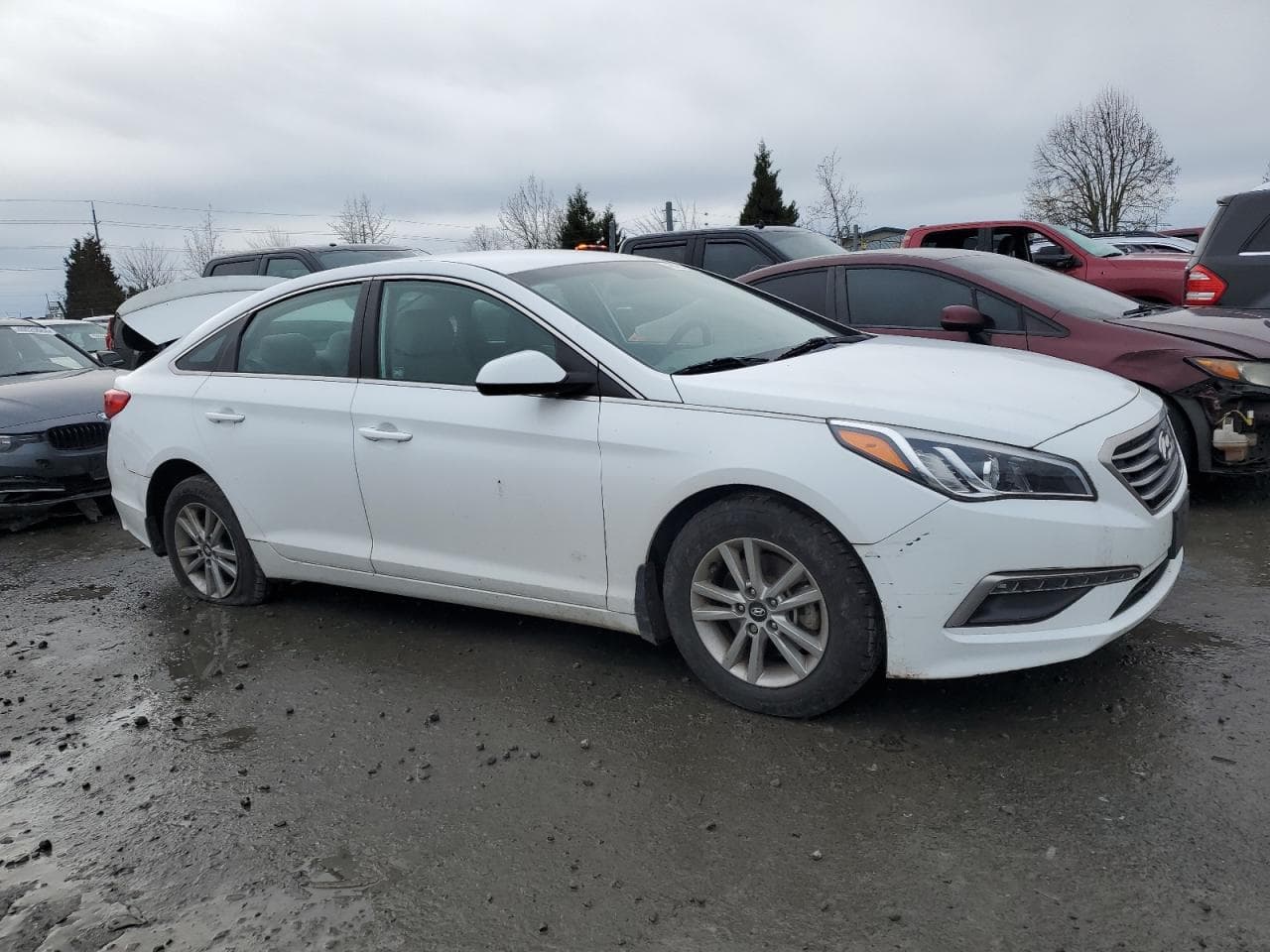 2015 Hyundai Sonata Se - foto 4