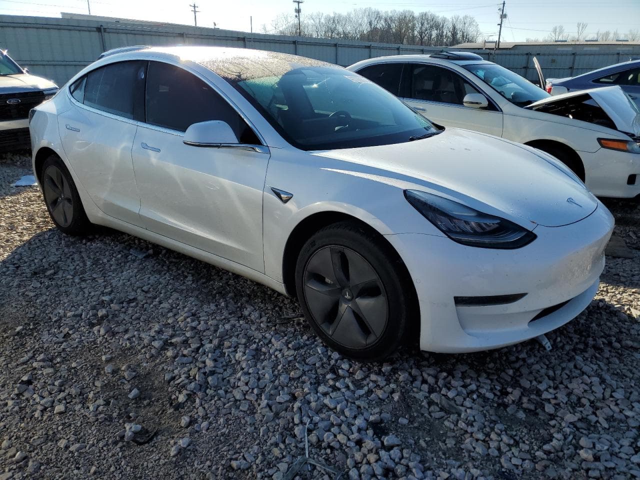 2020 Tesla Model 3 - foto 4