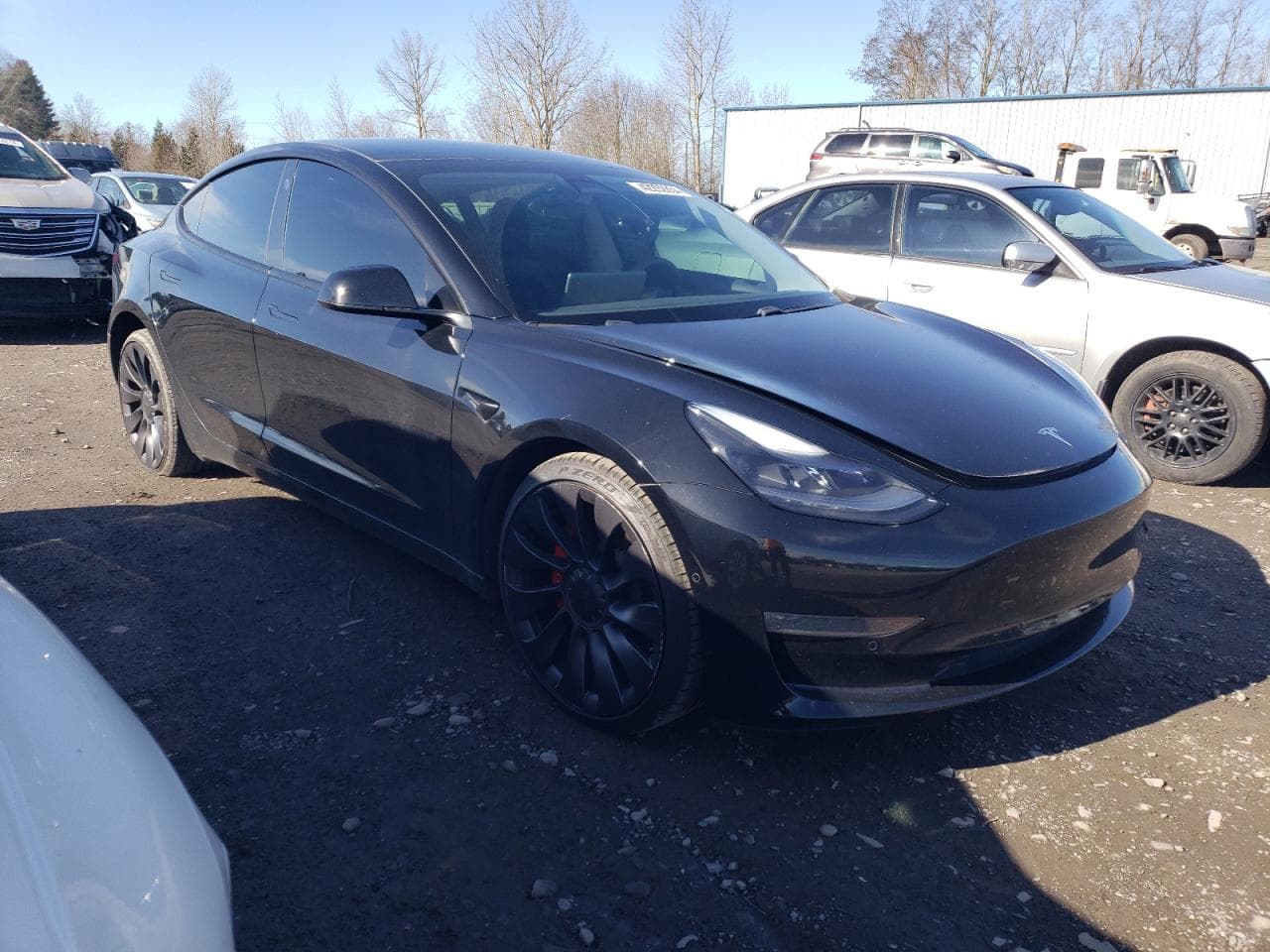 2021 Tesla Model 3 - foto 4