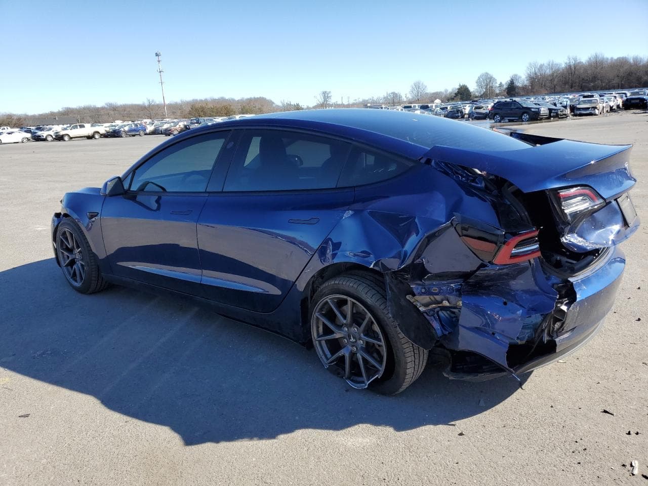 2021 Tesla Model 3 - foto 2