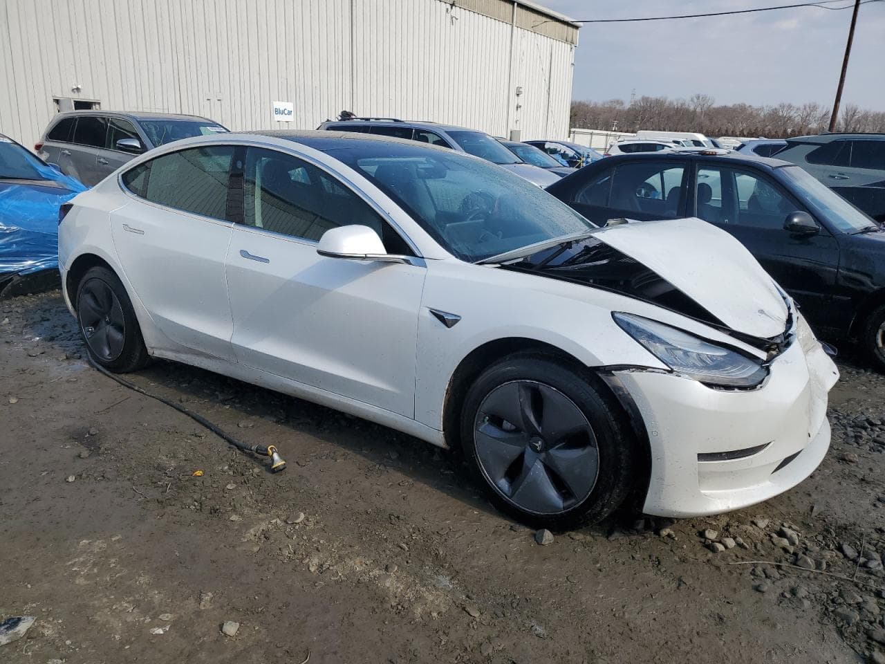 2020 Tesla Model 3 - foto 4