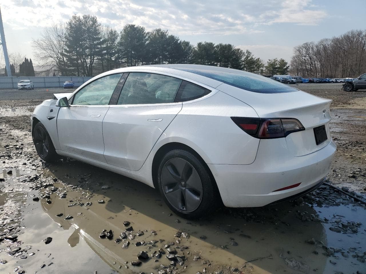 2020 Tesla Model 3 - foto 2