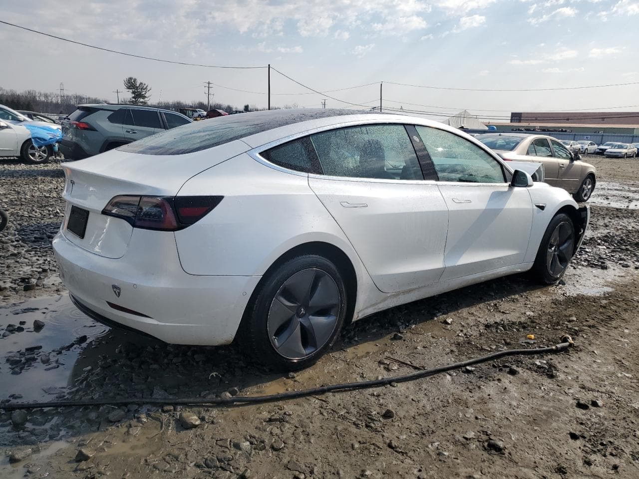 2020 Tesla Model 3 - foto 3
