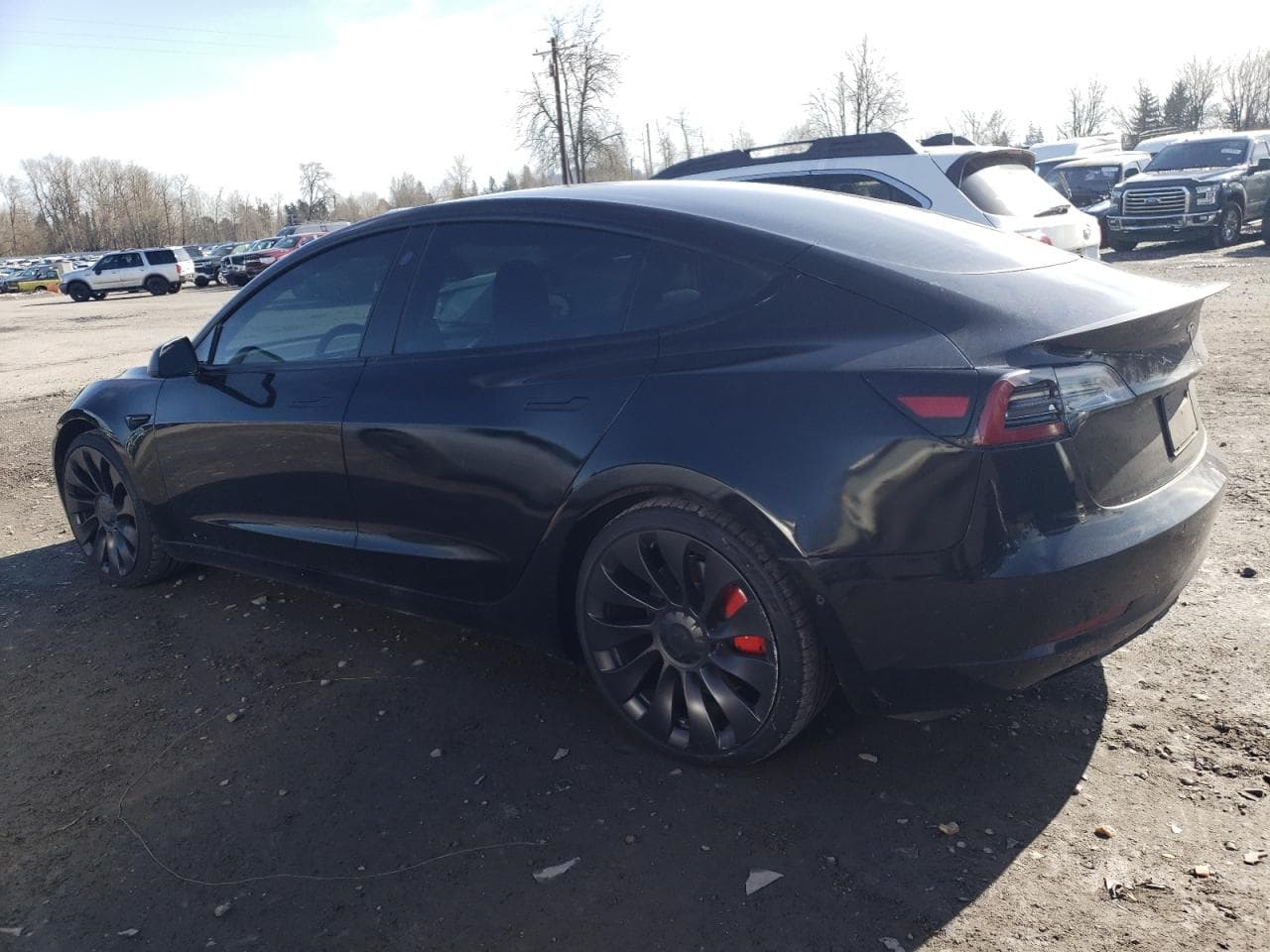 2021 Tesla Model 3 - foto 2