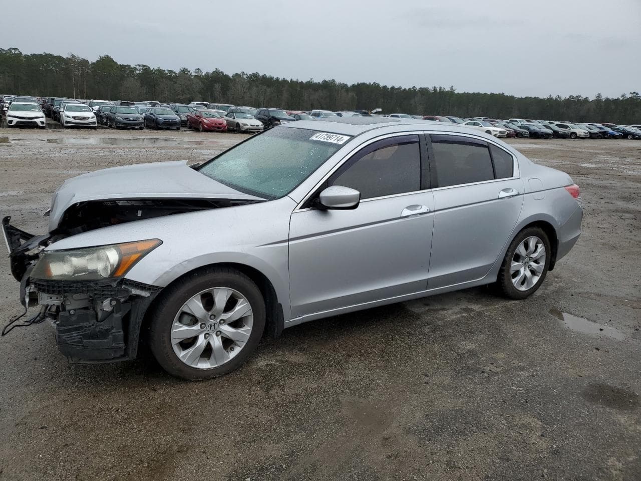 2010 Honda Accord 3.5 Ex-L
