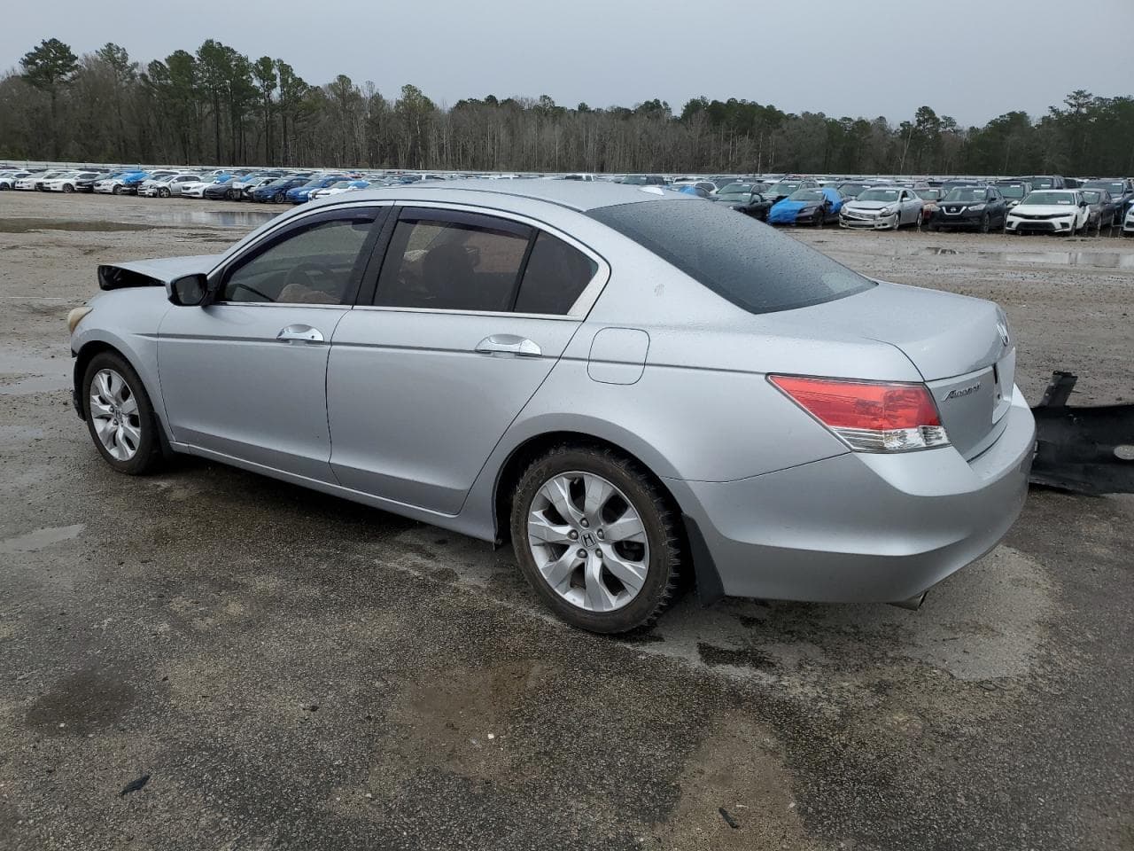 2010 Honda Accord 3.5 Ex-L - foto 2