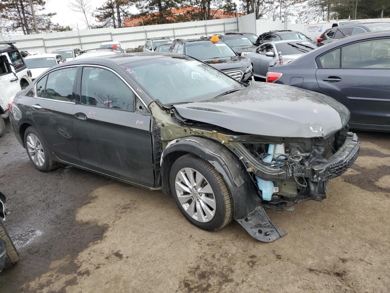 2013 Honda Accord Ex-L V-6 - foto 4