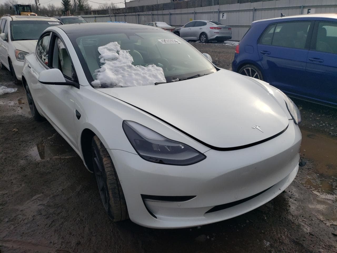2021 Tesla Model 3 - foto 4