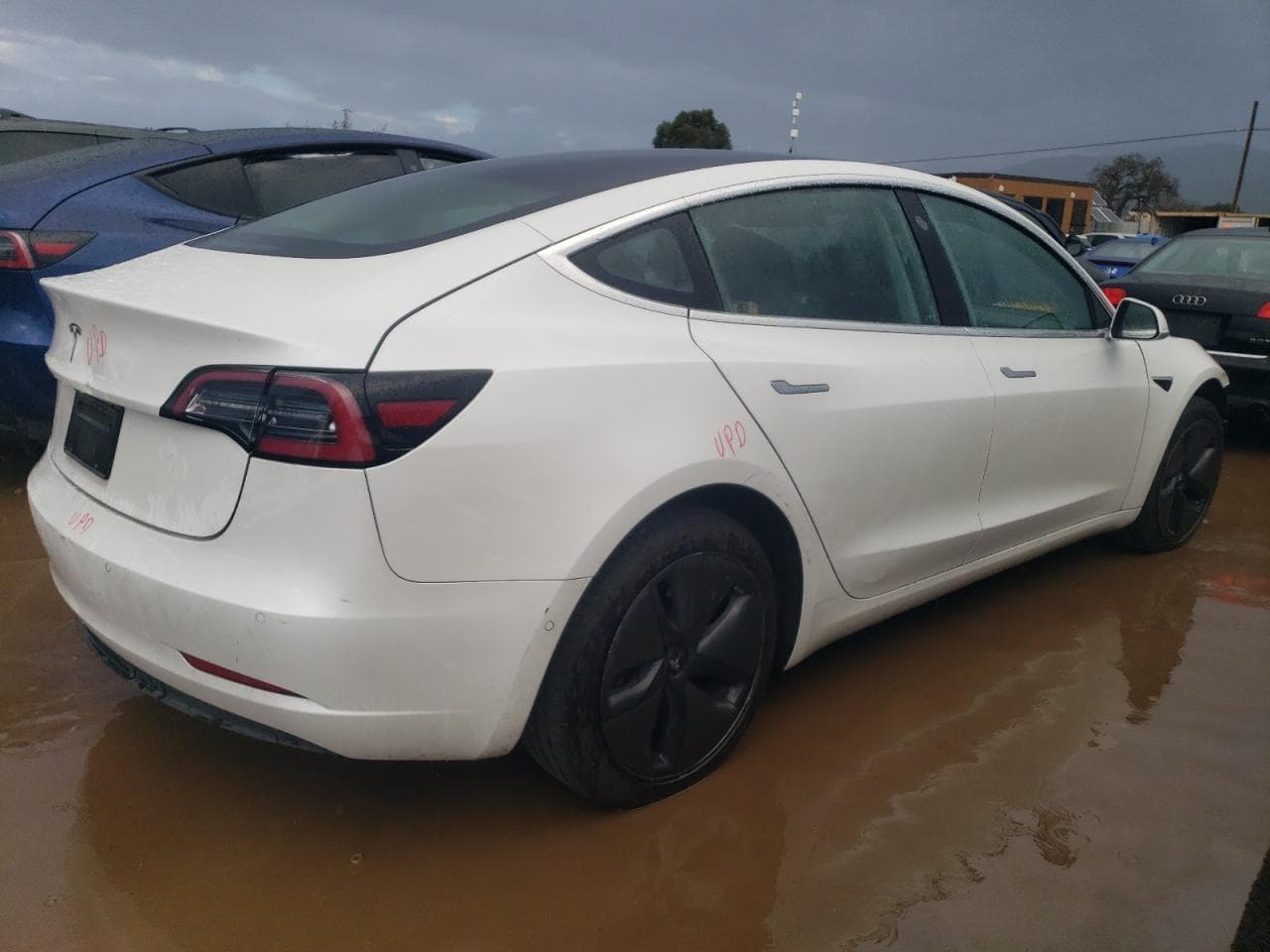 2020 Tesla Model 3 - foto 3