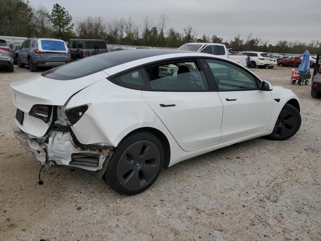 2021 Tesla Model 3 - foto 3