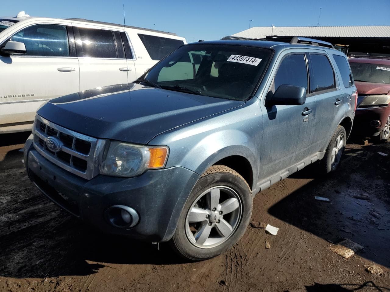 2011 Ford Escape Limited