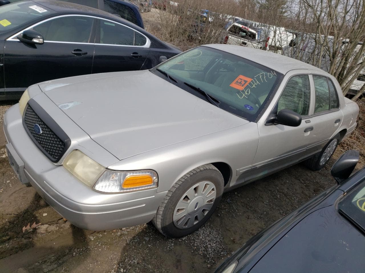 2008 Ford Crown Victoria Standard