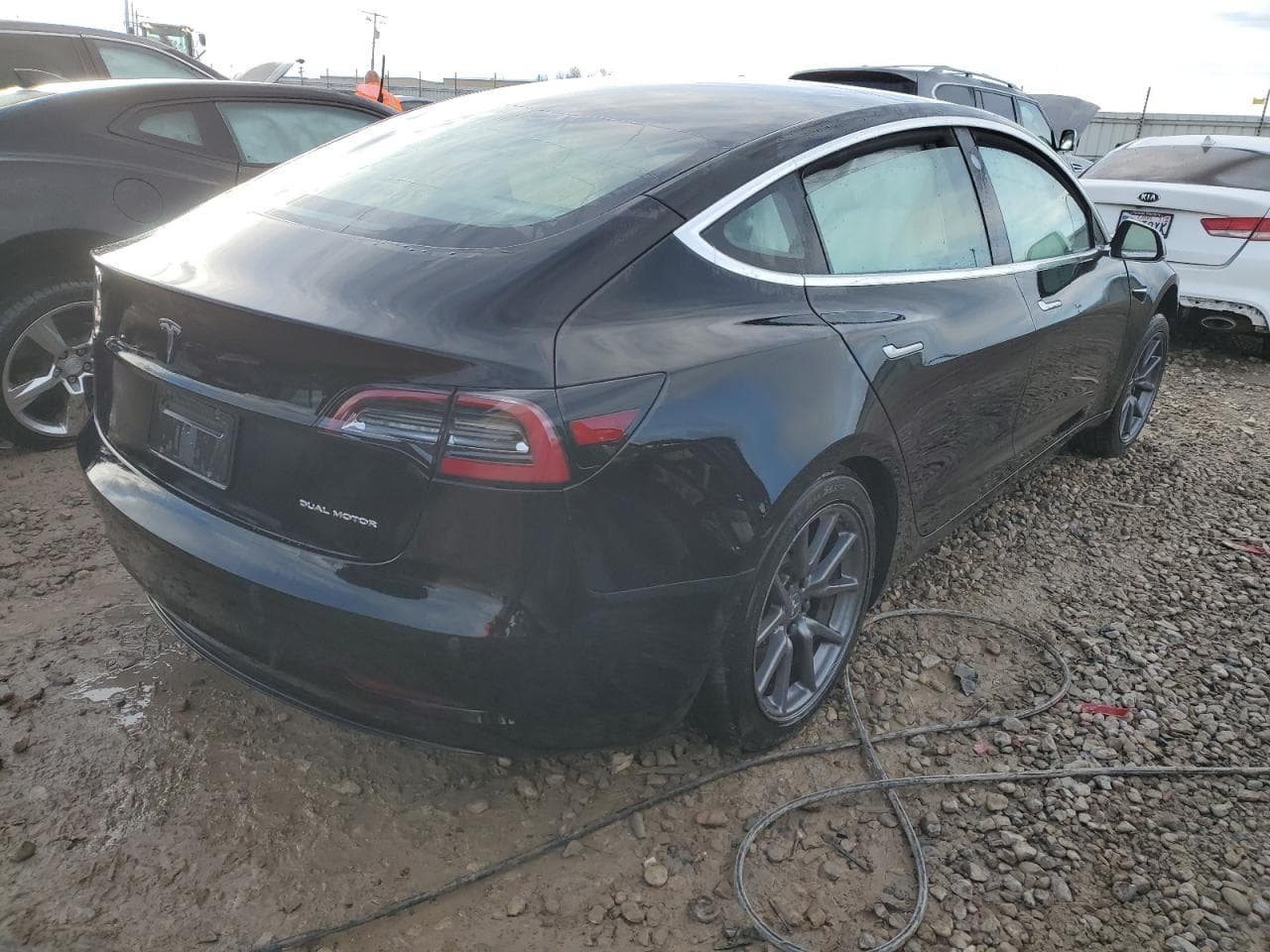 2020 Tesla Model 3 - foto 4