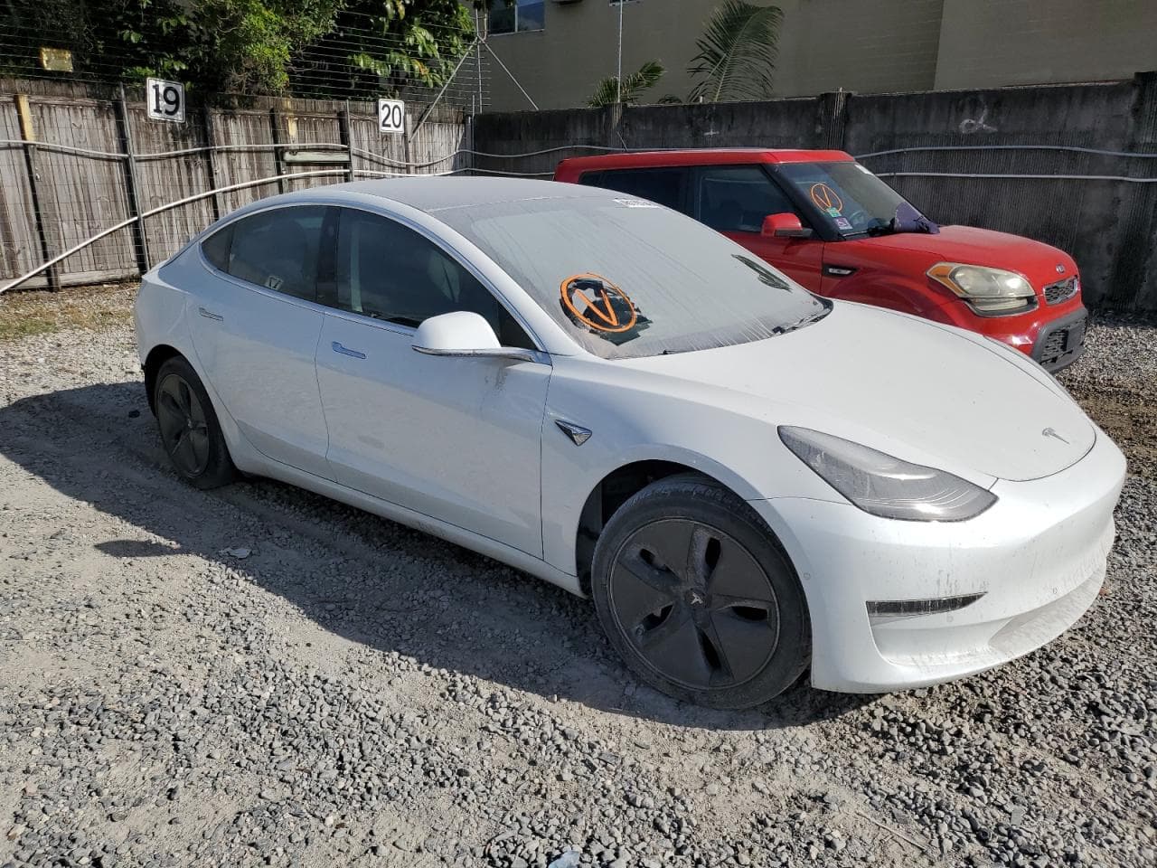 2020 Tesla Model 3 - foto 4