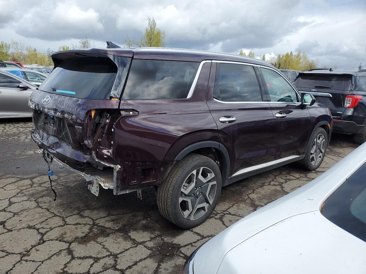 2023 Hyundai Palisade Limited - foto 3