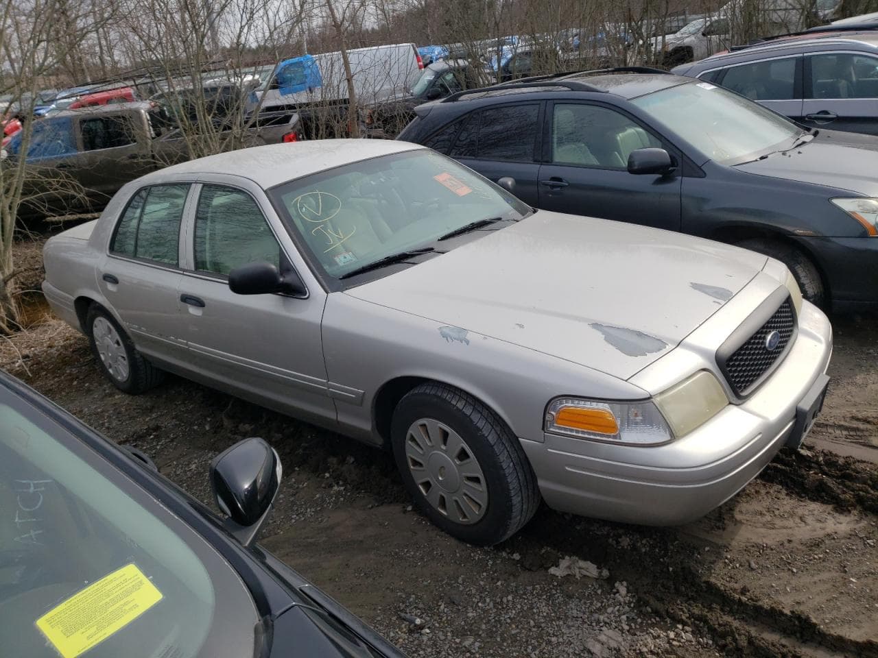 2008 Ford Crown Victoria Standard - foto 4