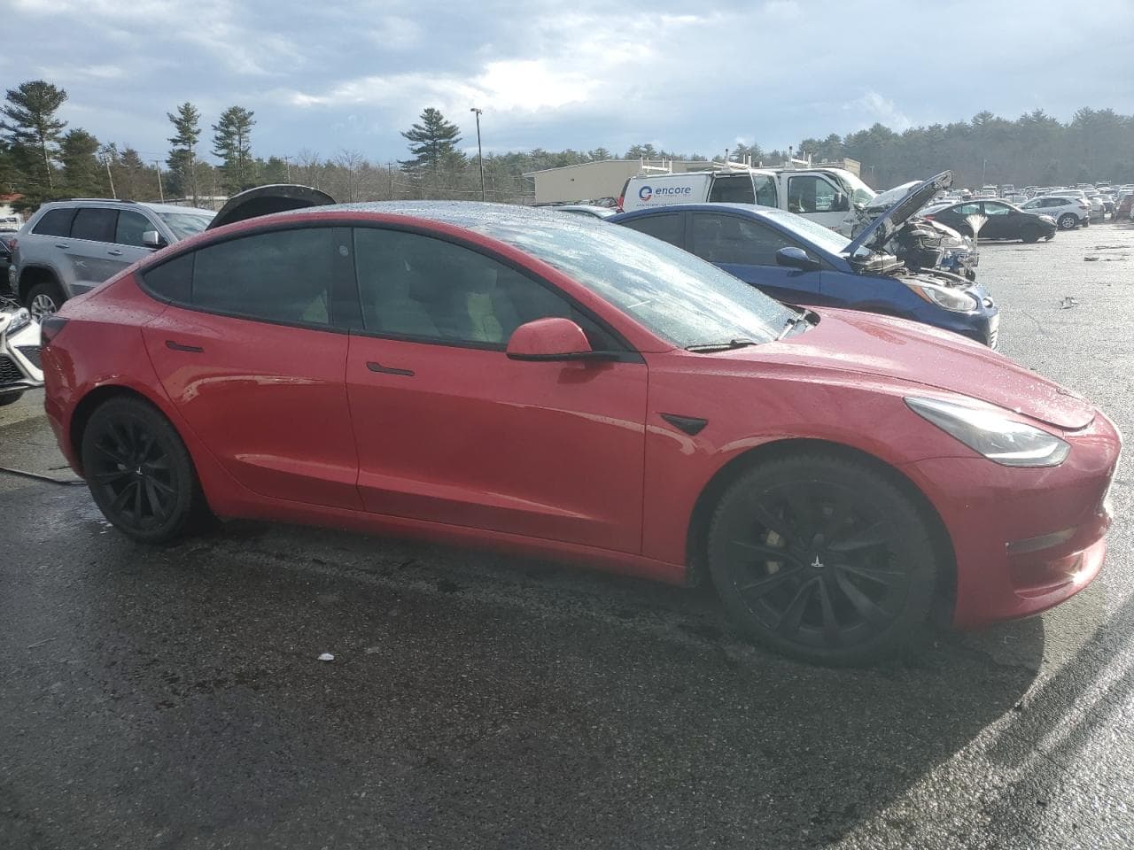 2021 Tesla Model 3 - foto 4
