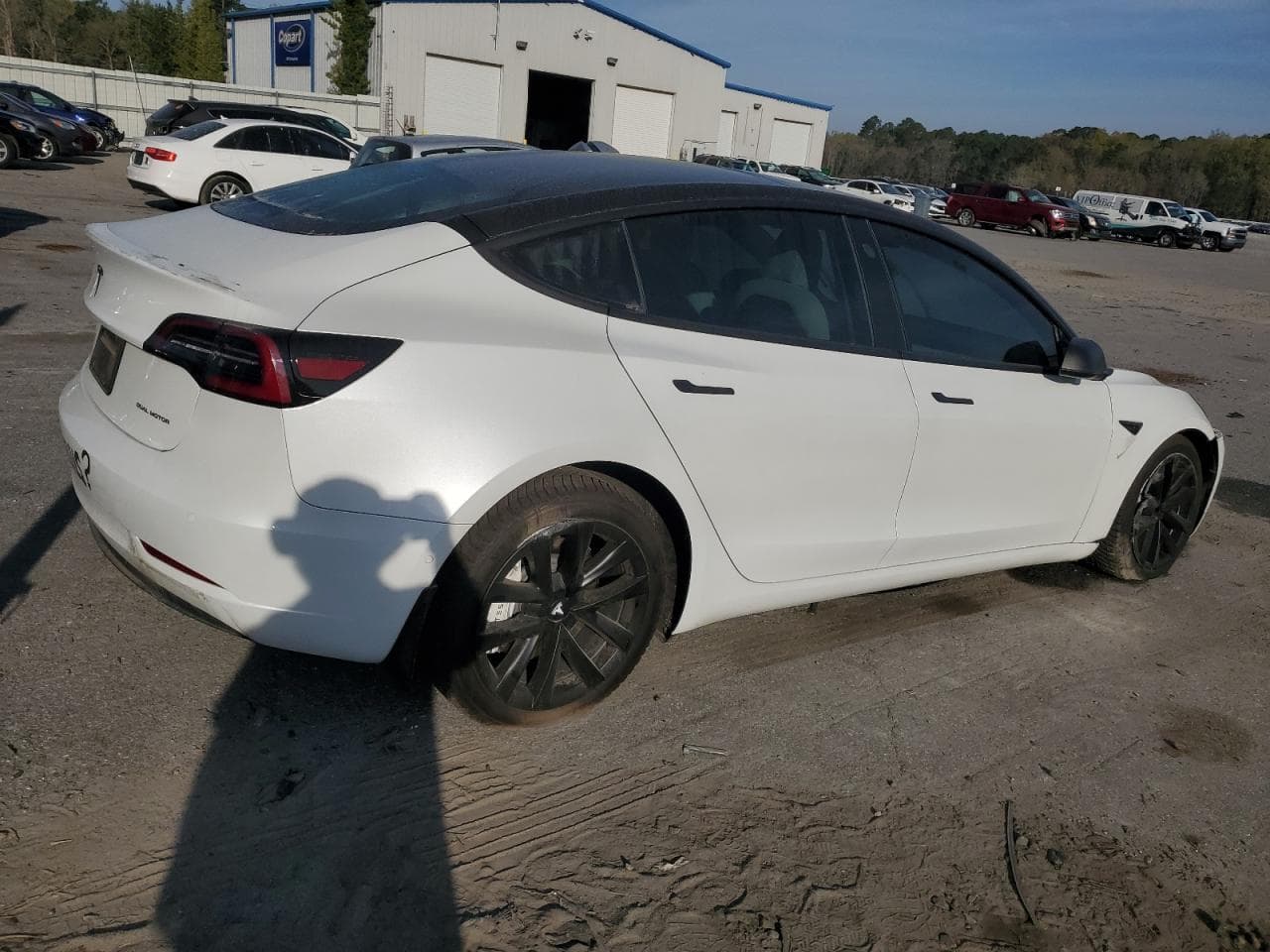 2020 Tesla Model 3 - foto 3
