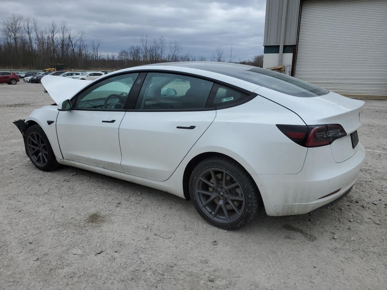 2021 Tesla Model 3 - foto 2