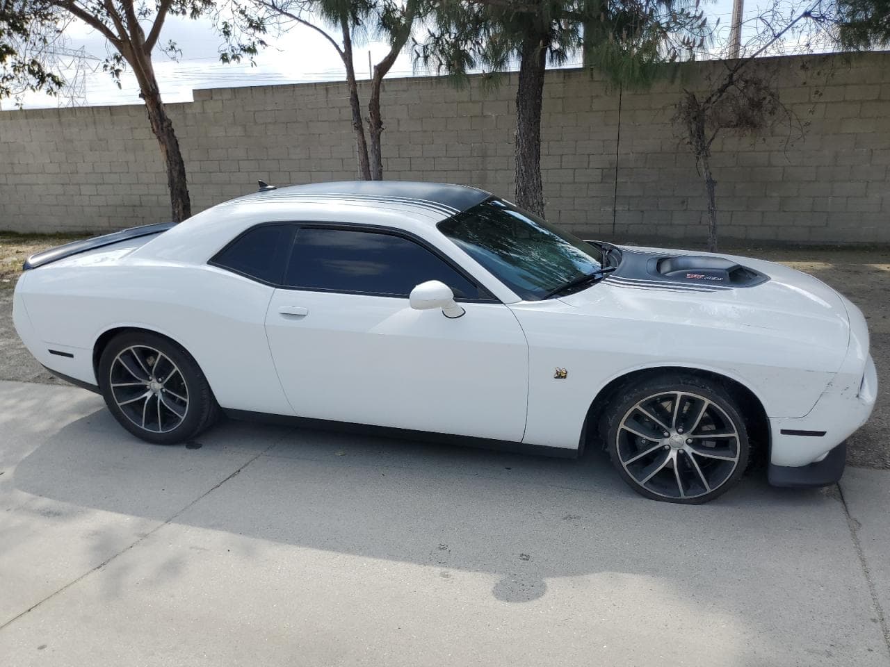 2016 Dodge Challenger 392 Hemi Scat Pack Shaker - foto 4