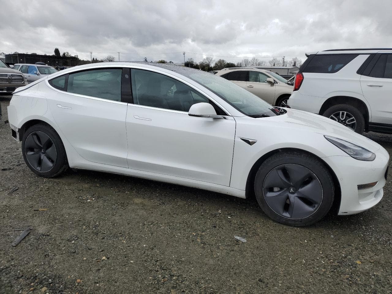 2020 Tesla Model 3 - foto 4