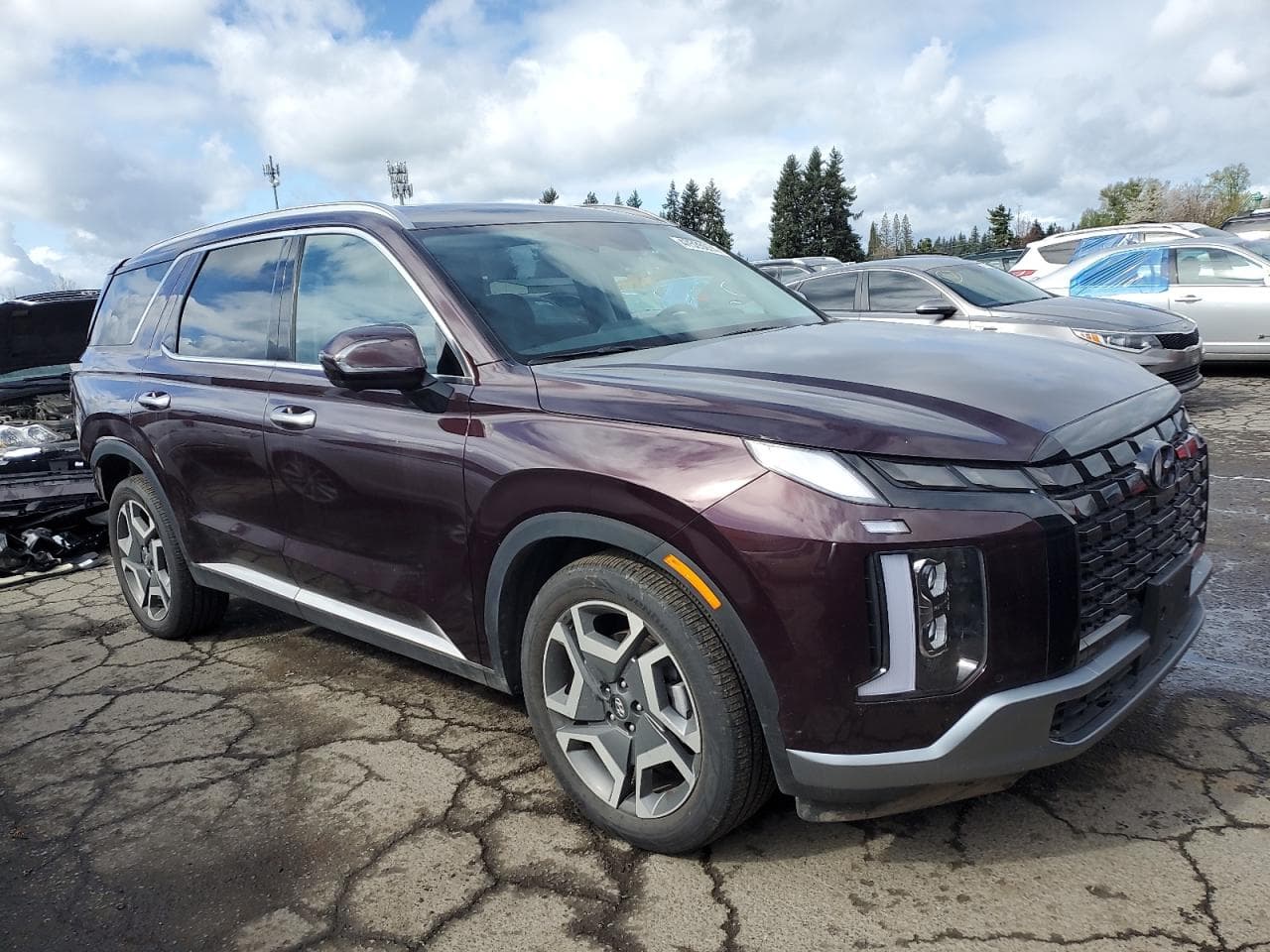 2023 Hyundai Palisade Limited - foto 4