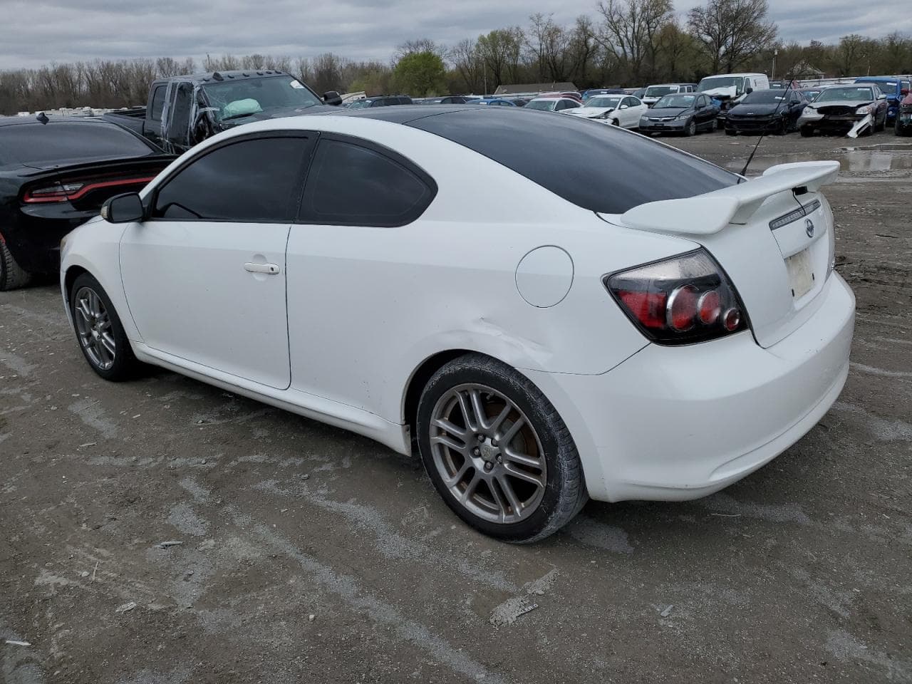 2007 Toyota Scion Tc - foto 2
