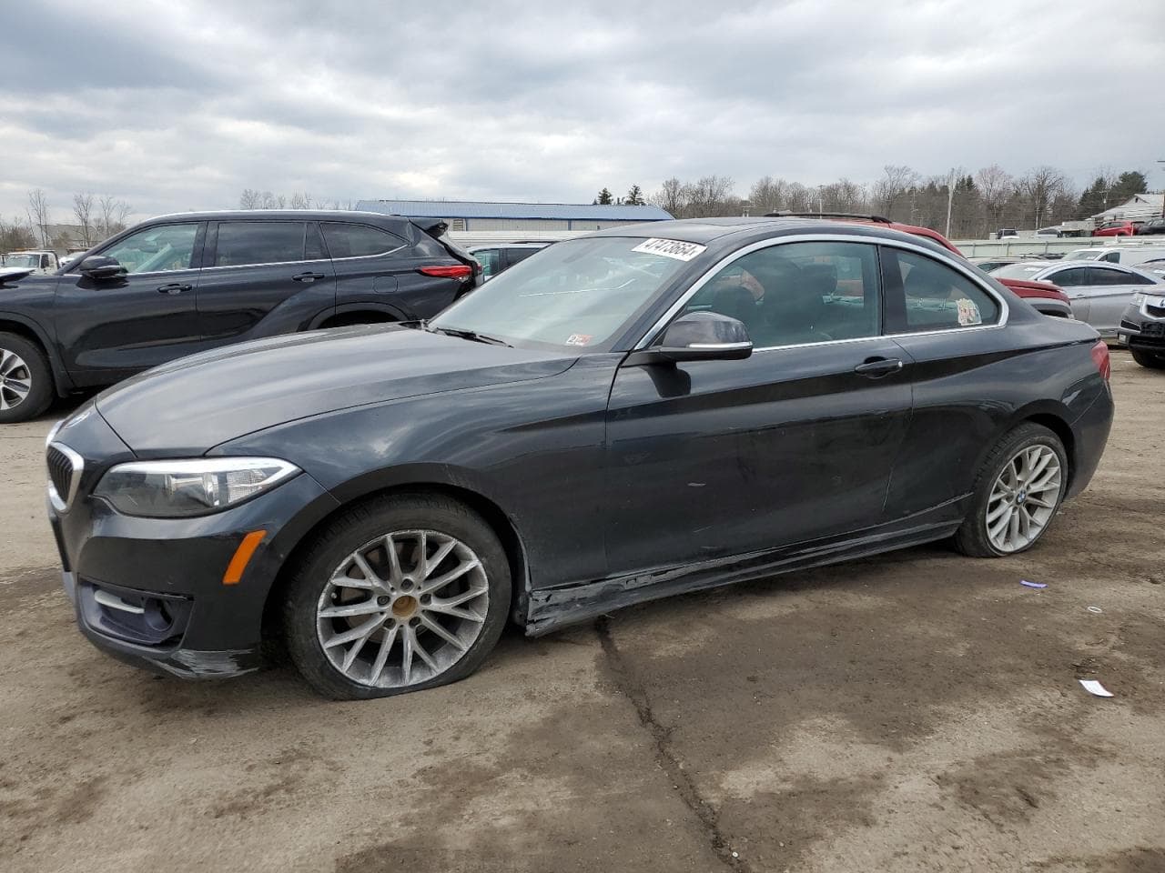2016 BMW 228 Xi Sulev