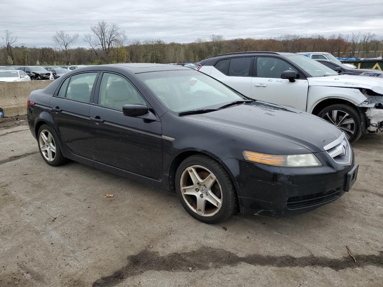 2006 Acura 3.2Tl - foto 4