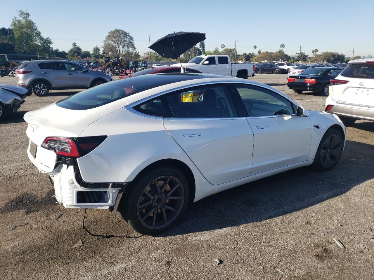 2020 Tesla Model 3 - foto 3