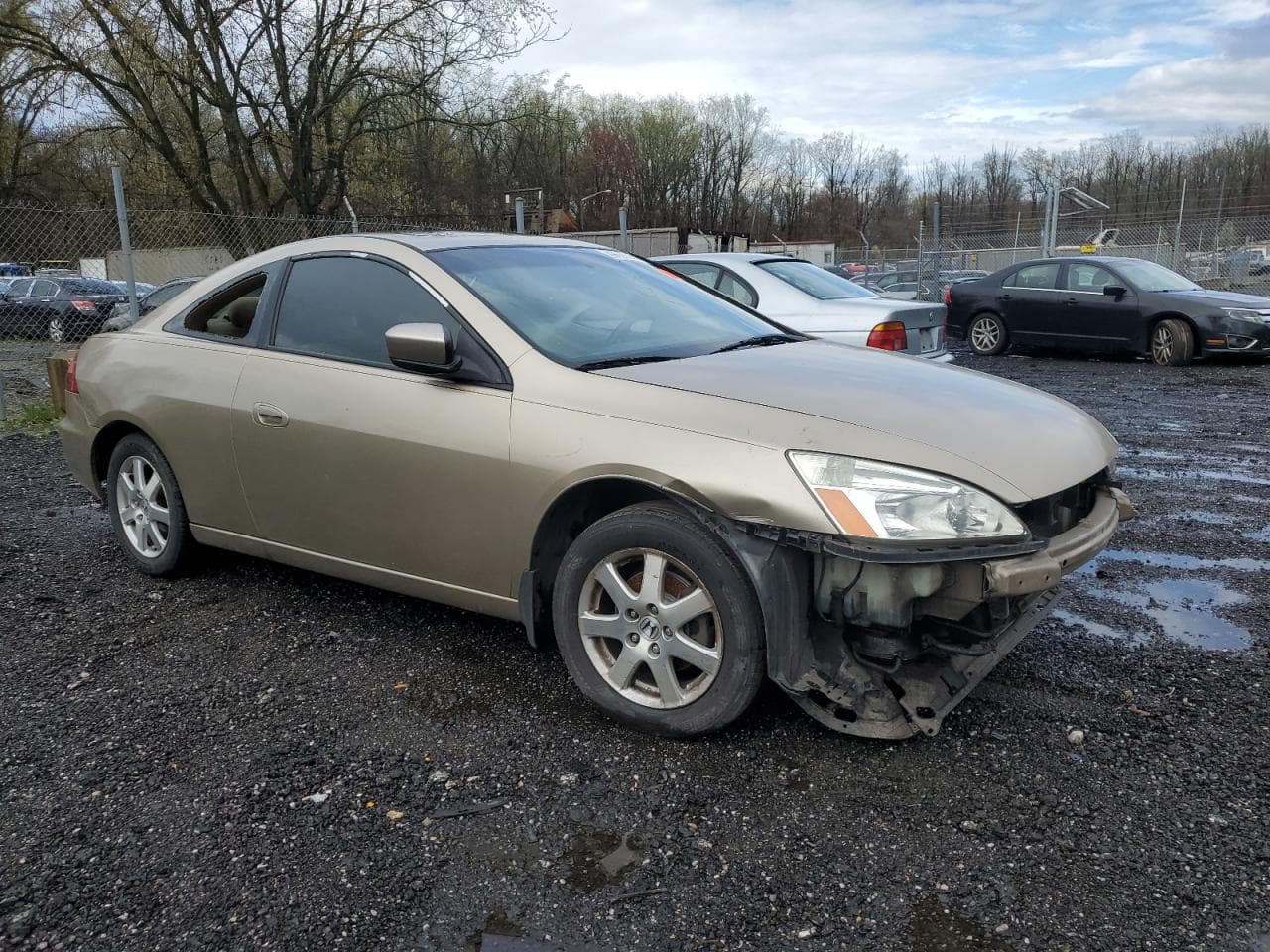 2005 Honda Accord 3.0 Lx Special Edition - foto 4
