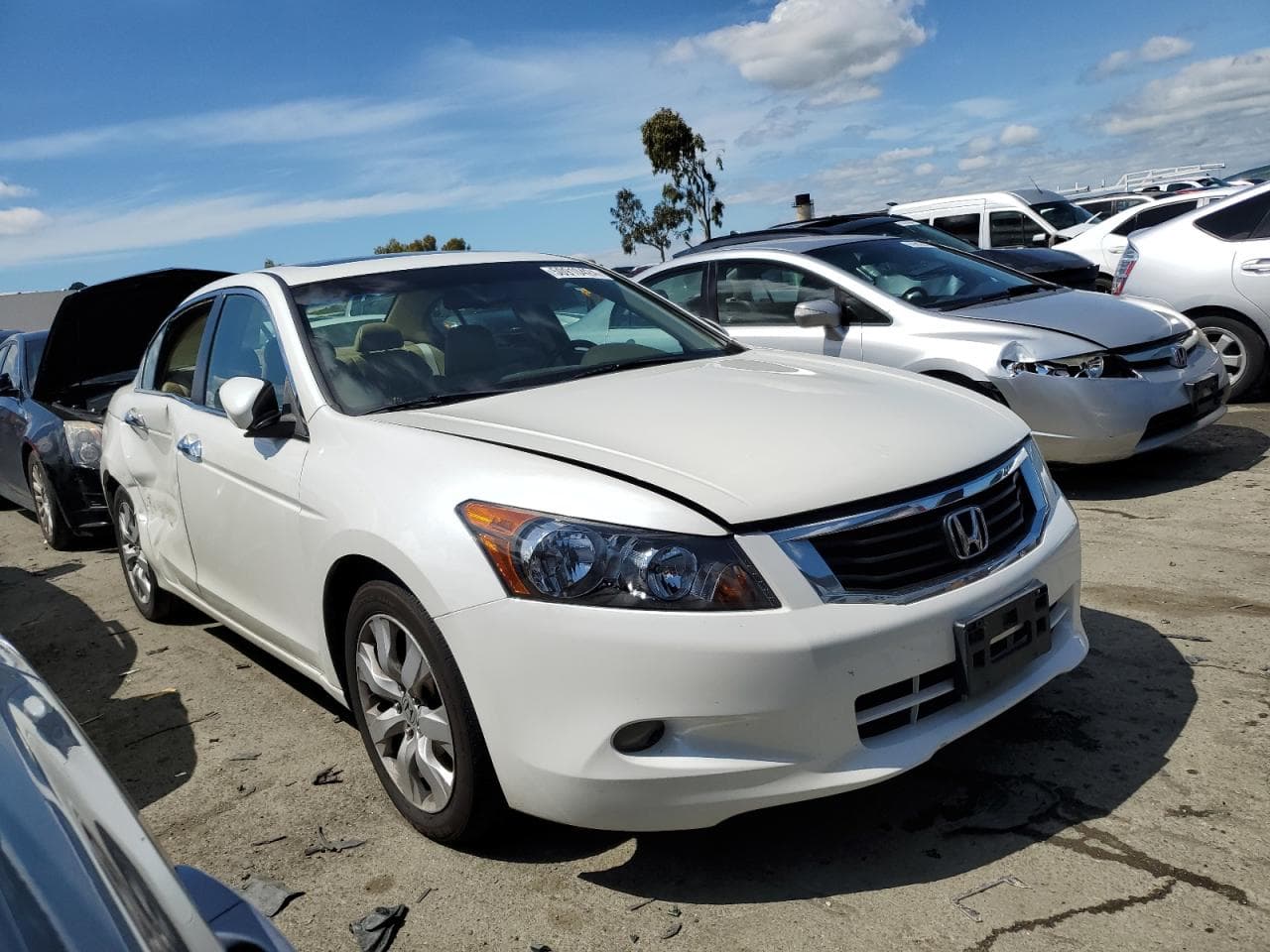2010 Honda Accord 3.5 Ex-L - foto 4