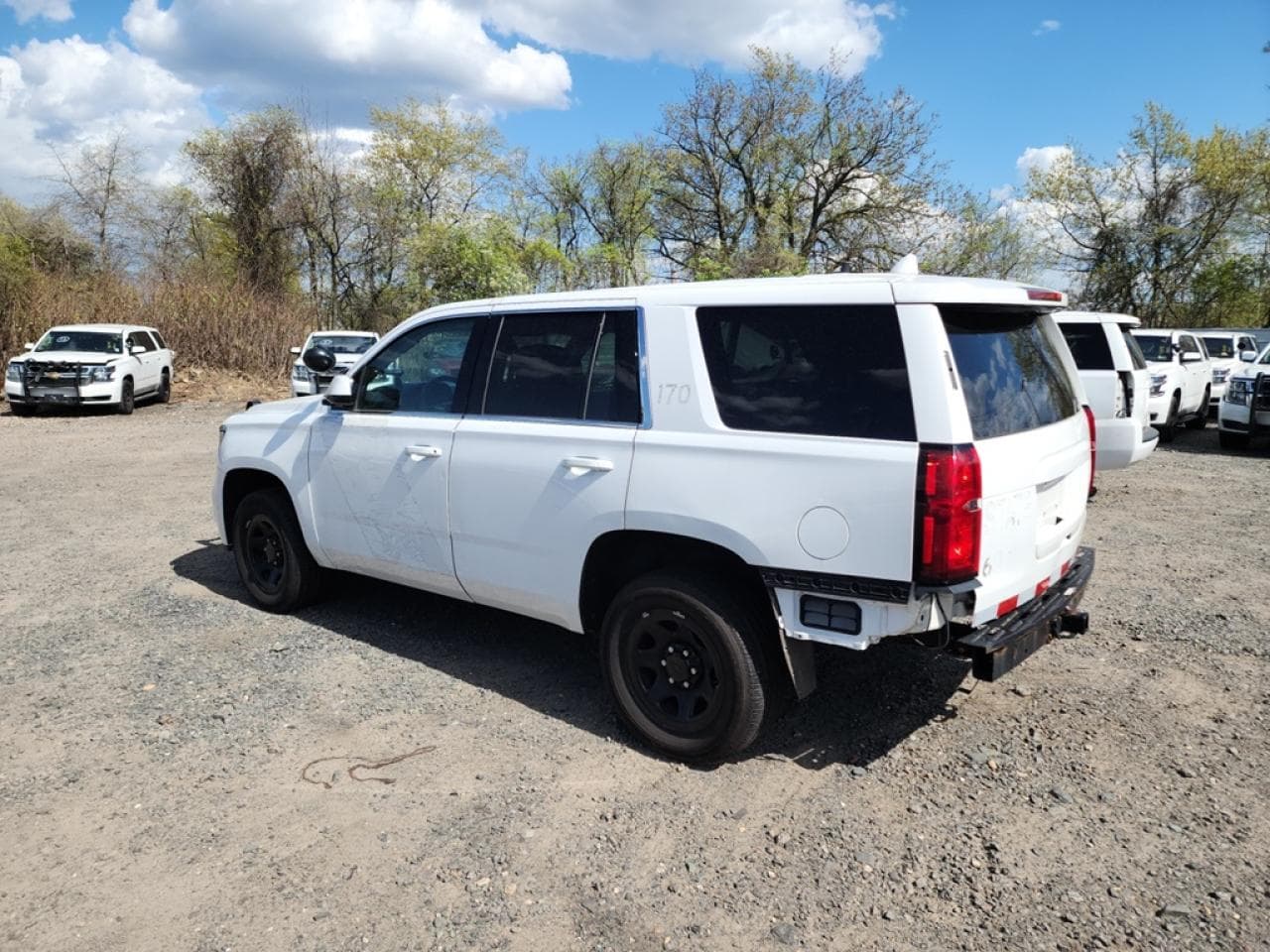 2017 Chevrolet Tahoe Commercial Fleet - foto 2