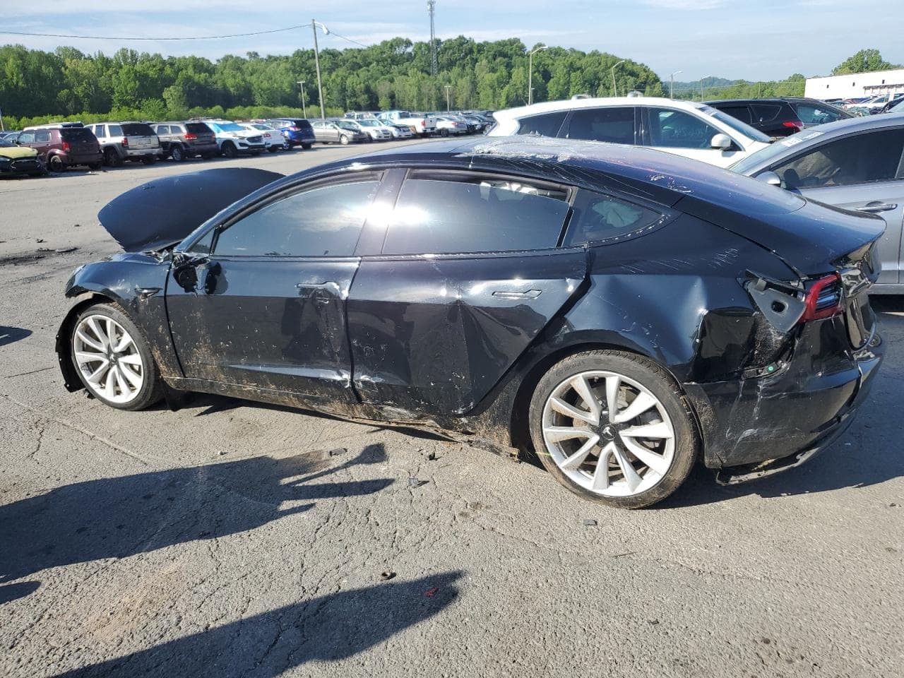 2018 Tesla Model 3 - foto 2