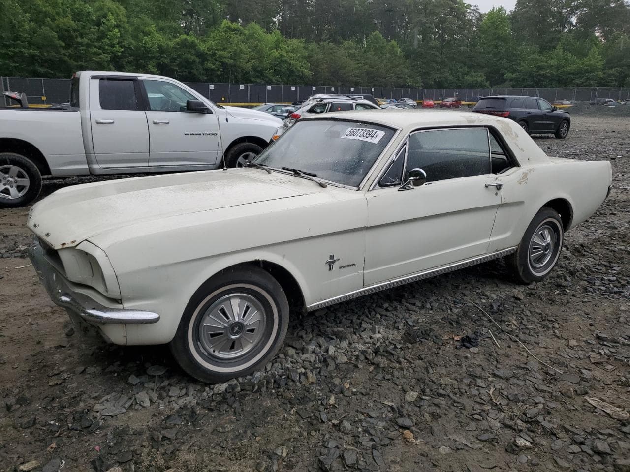 1966 Ford Mustang z USA