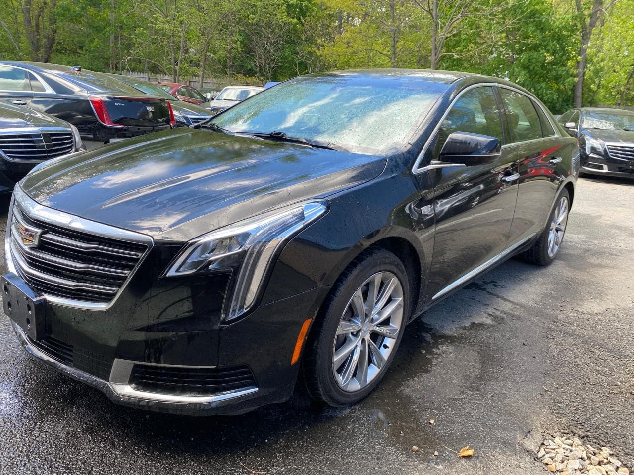 2018 Cadillac Xts W20 Livery Package - foto 2