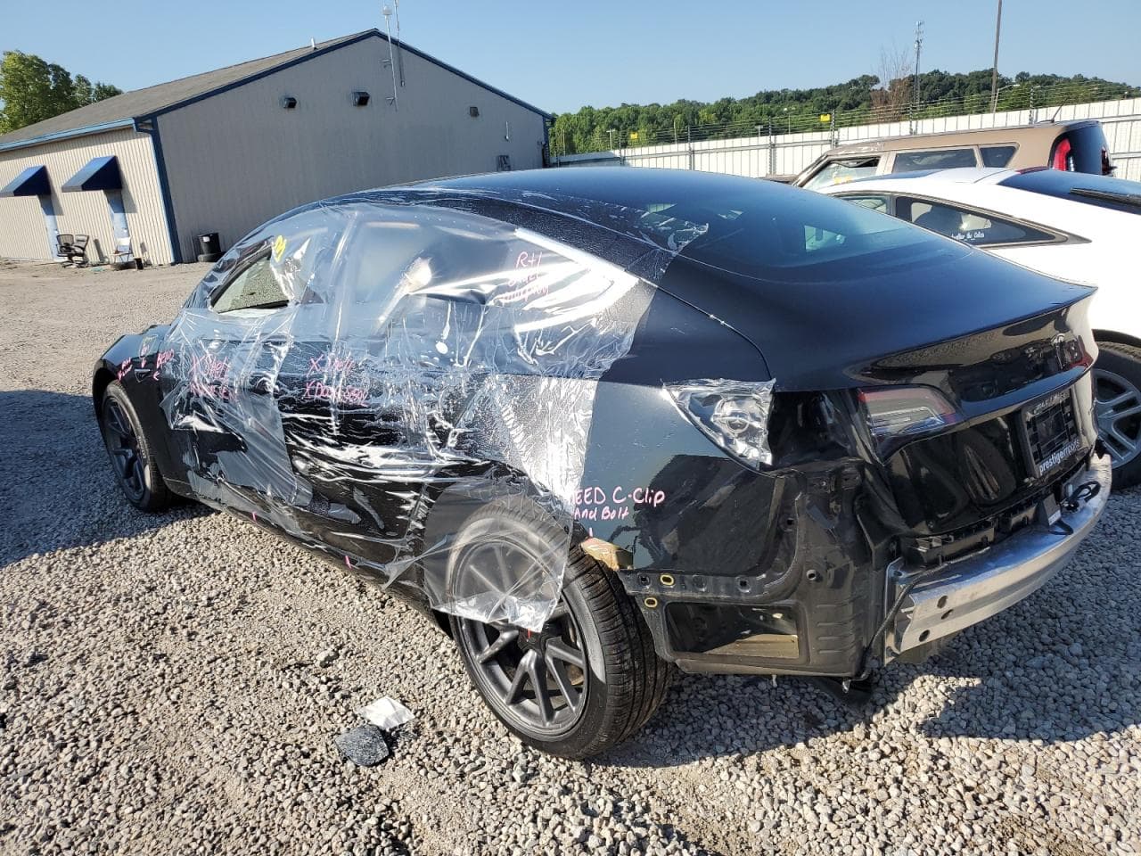 2020 Tesla Model 3 - foto 2