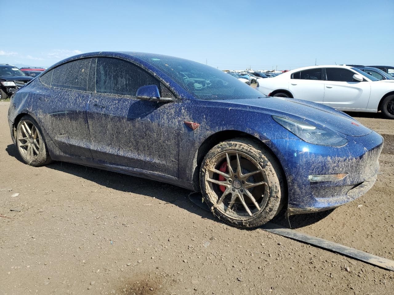 2021 Tesla Model 3 - foto 4
