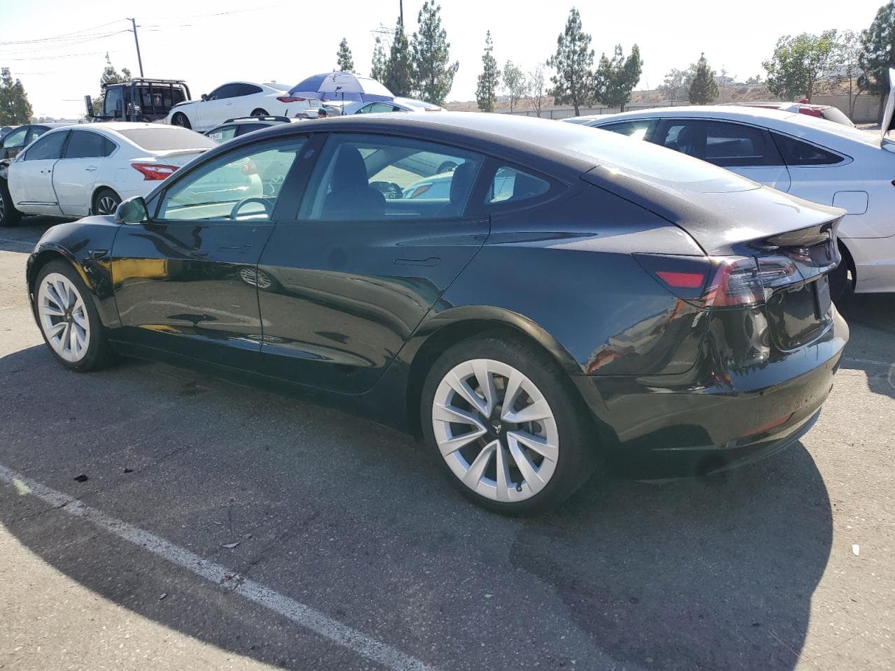 2021 Tesla Model 3 - foto 2
