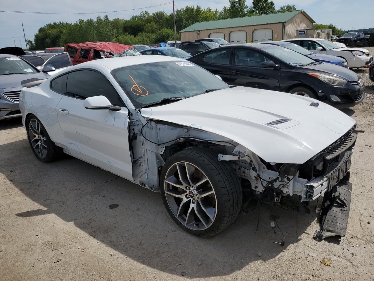 2019 Ford Mustang Gt - foto 4