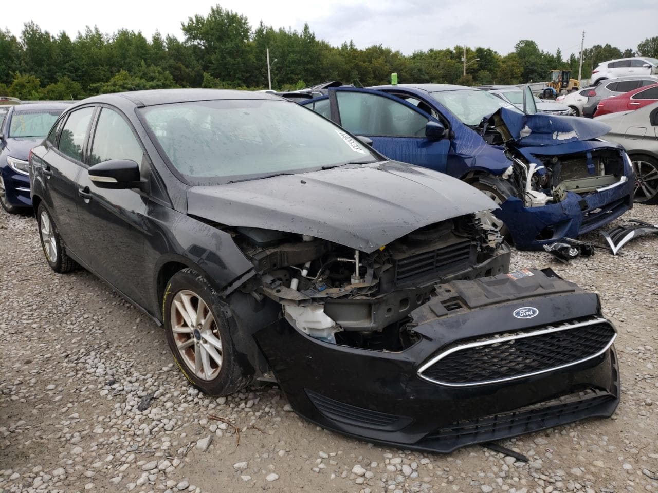 2015 Ford Focus Se - foto 4