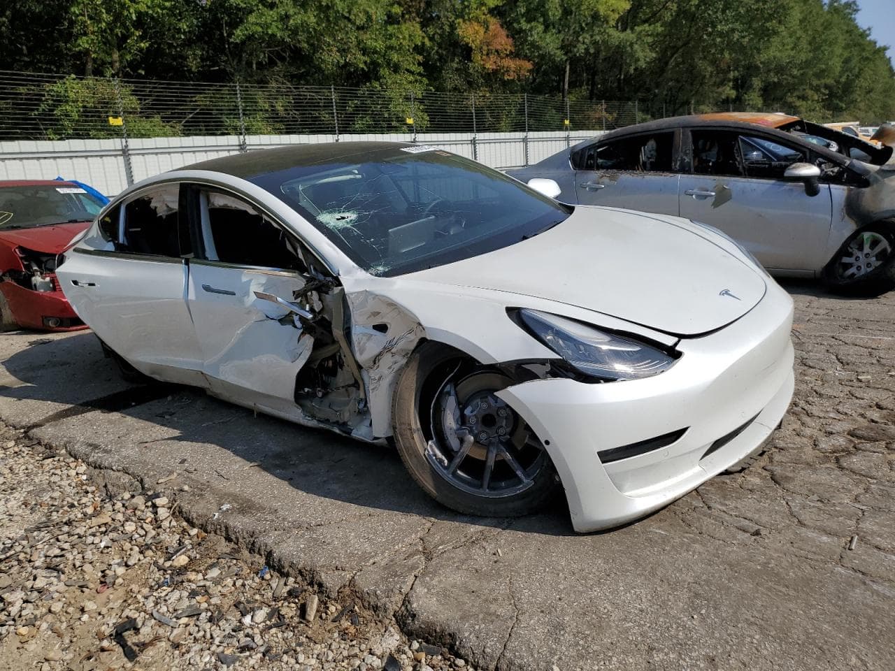 2020 Tesla Model 3 - foto 4
