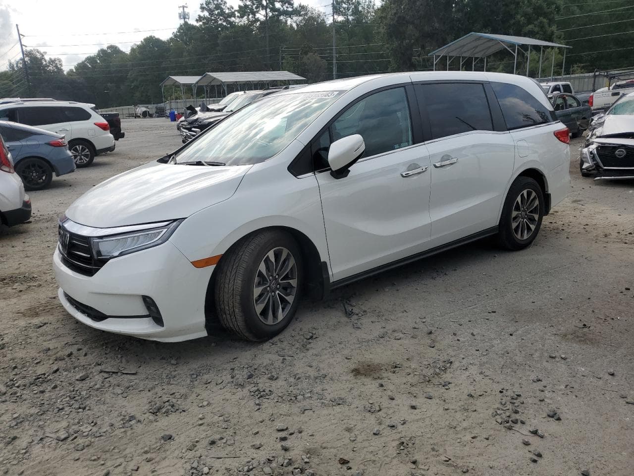 2023 Honda Odyssey Exl