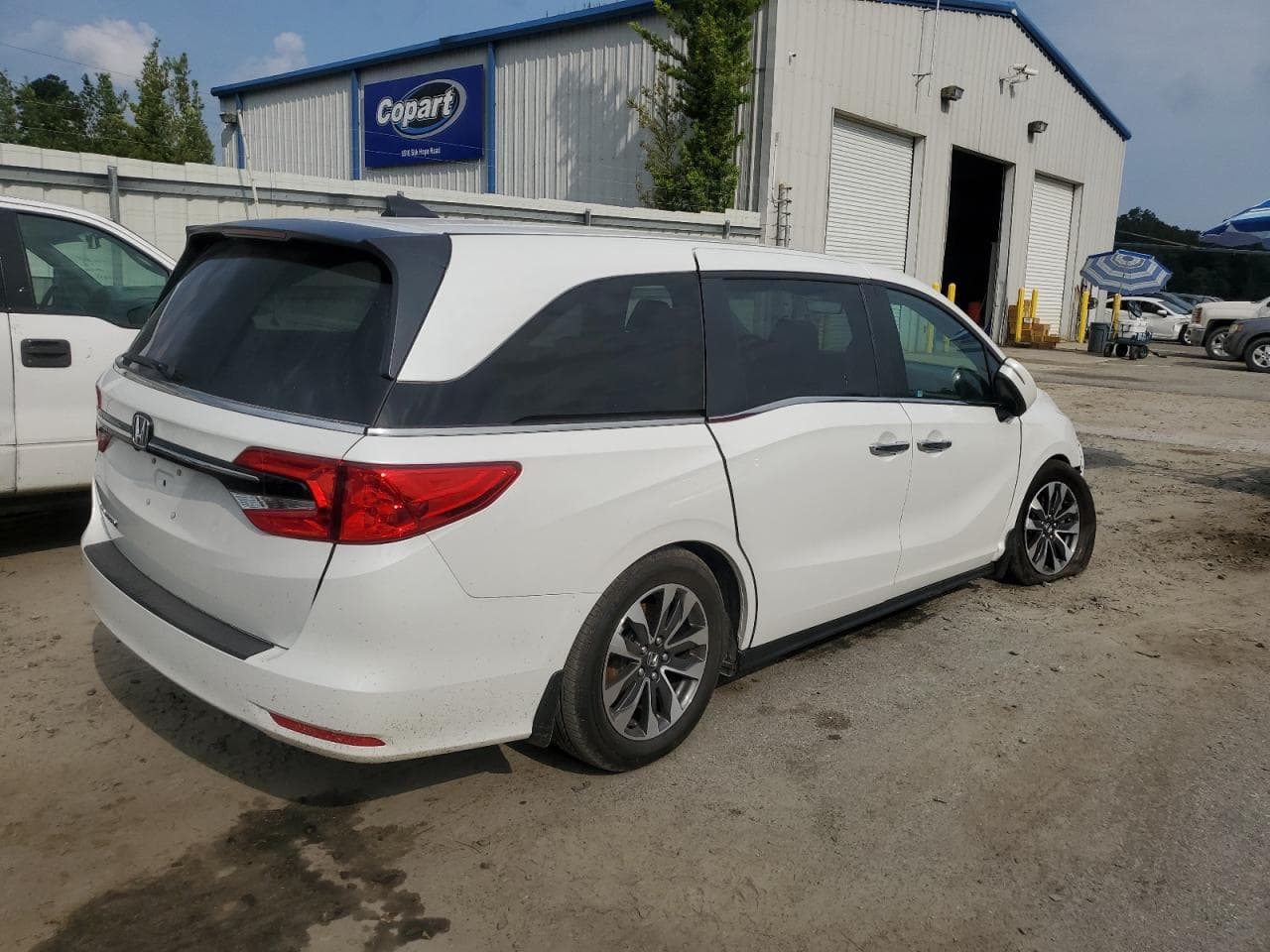 2023 Honda Odyssey Exl - foto 3