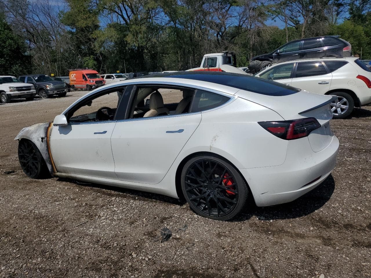 2020 Tesla Model 3 - foto 2